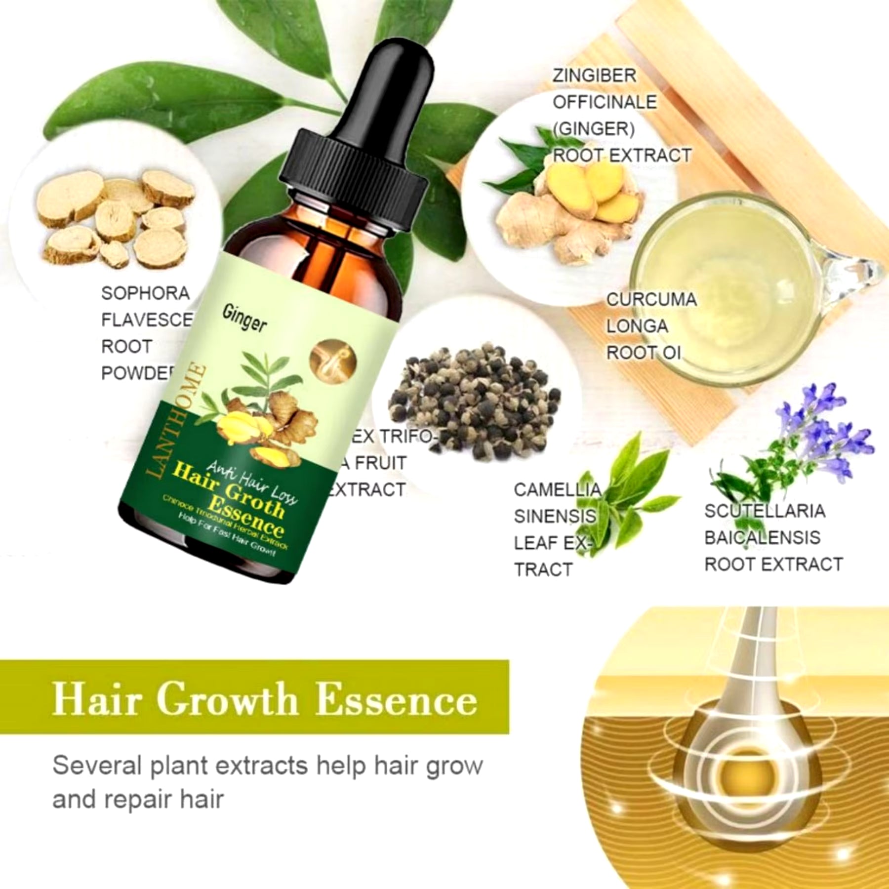 Hair Growth Essence Has Good Permeability, Penetrates Deep into the Hair Core, Fully Absorbs Nutrients, and Deeply Moisturizes